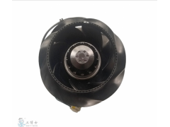 ����ʿ�̳�