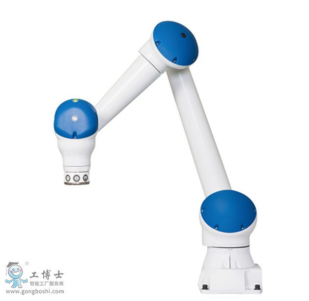 �����C����