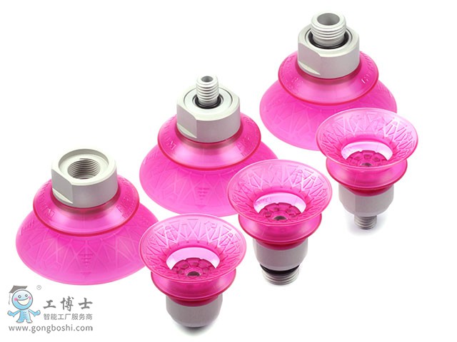 ���������P(p��n)