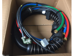 ����ʿ�̳�