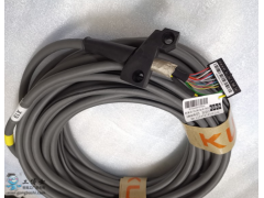 ����ʿ�̳�