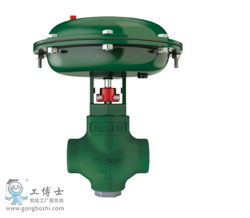 Fisher&trade; D2T FloPro �����y