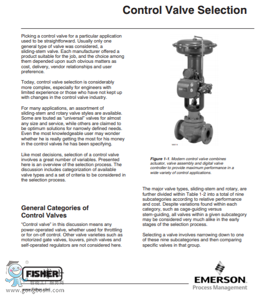 Fisher&trade; DSA �����{(di��o)��(ji��)�p����