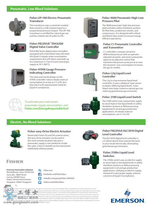 Fisher&trade; 2100 Һλ�_�P