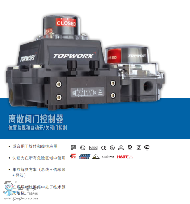 ����TopWorx? DXP  ��