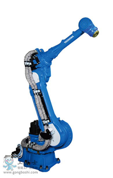 �����C����