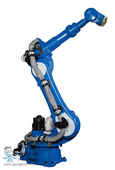 �����C����