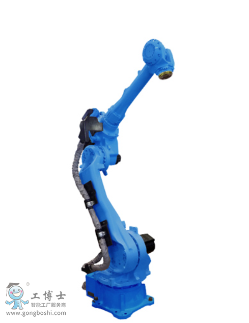 �����C����