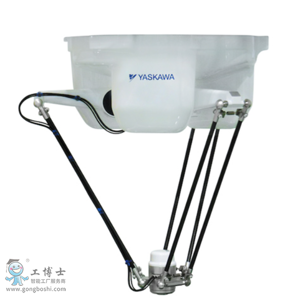 �����C����