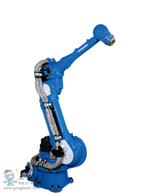 �����C����