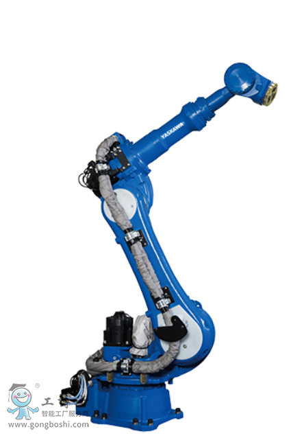 �����C����