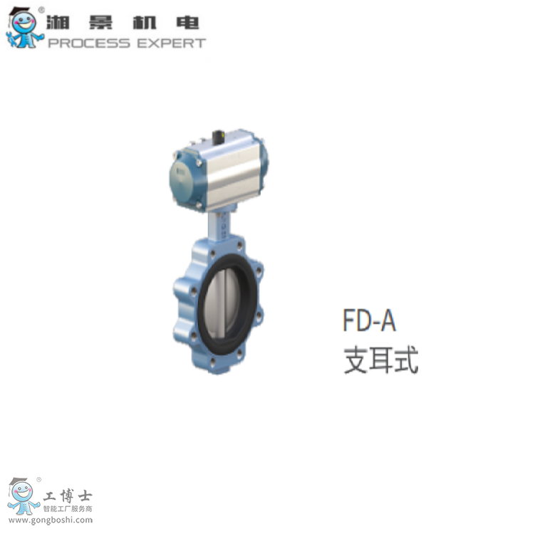 ��FLYGER���R�� FDϵ�� �о��r�z���y FD-A֧��ʽ