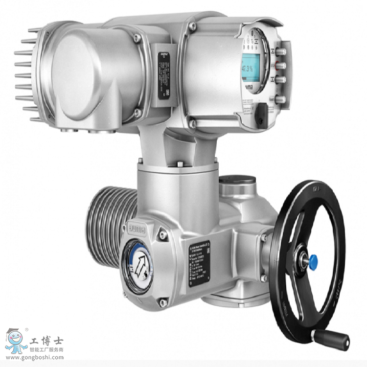 �� Auma �W�a����ACV���Ɔ�Ԫ��SAV��SARV������