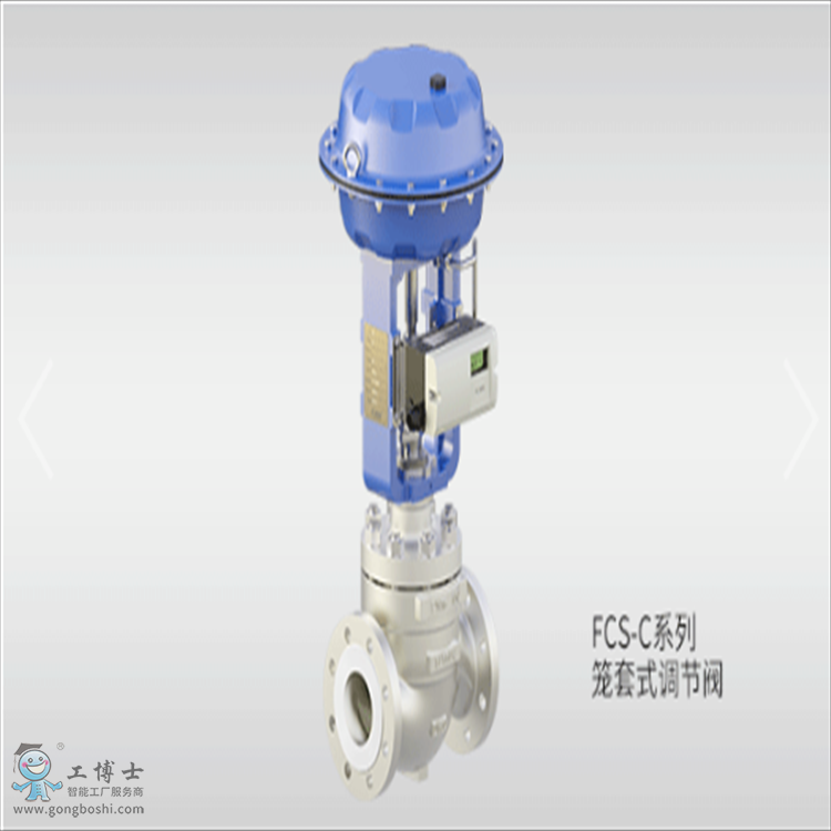 FCS-Cϵ�� �\��ʽ�{���y