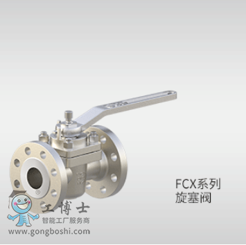 FCXϵ�� �����y