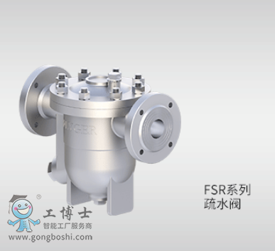 FSRϵ�� ���y