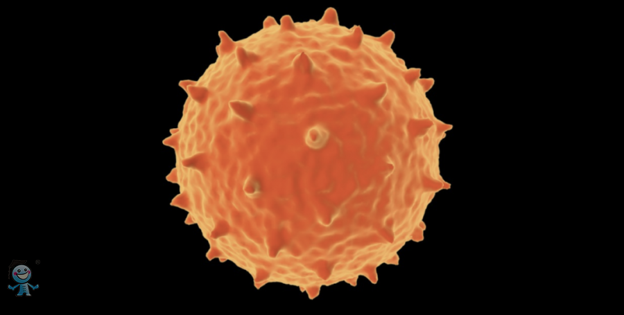 �¹ڲ����Y(ji��)��(g��u)