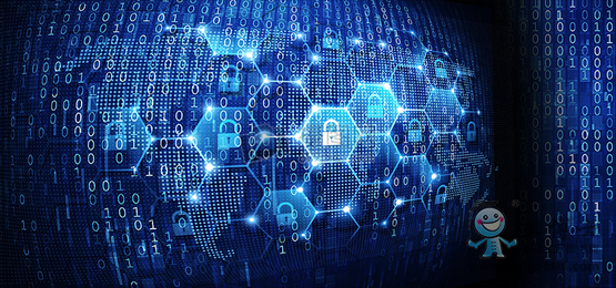 ������ȫ