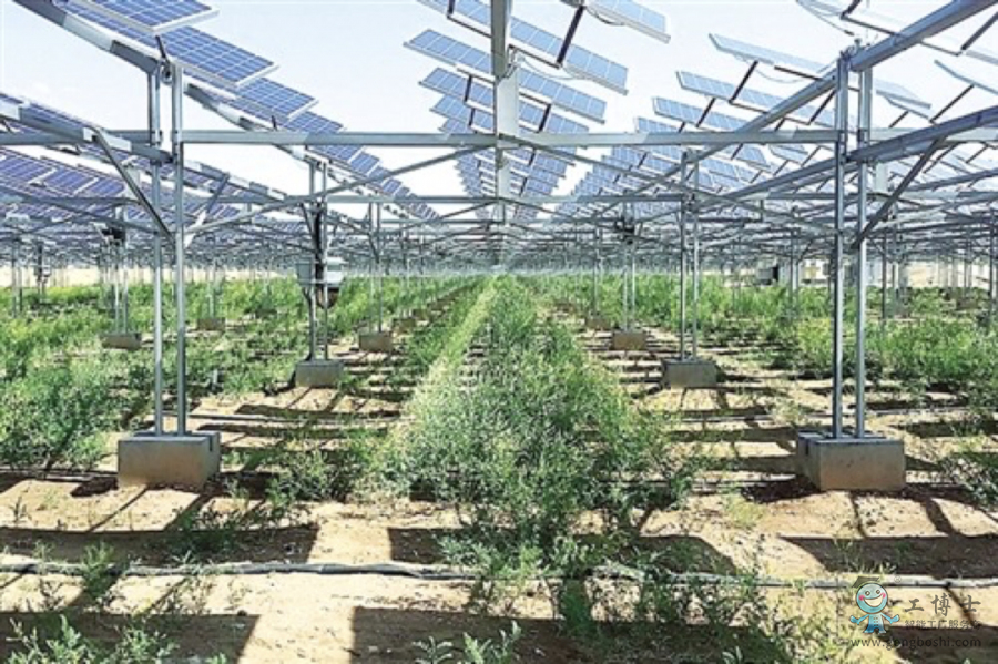 �첼�RɳĮ����վ