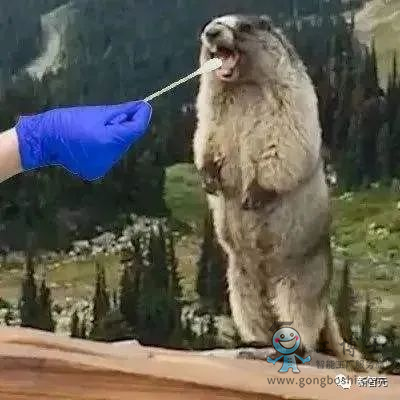 AI�㷨 ���¹�