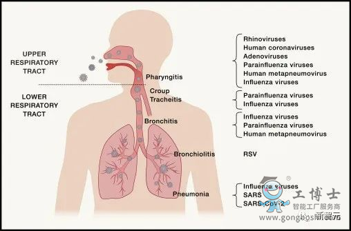 AI�㷨 ���¹�