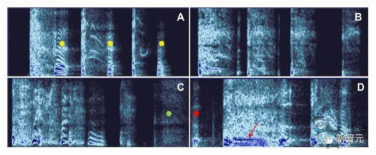 �������ЈD