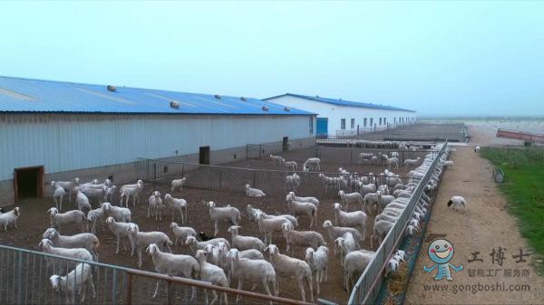 �ǻ��r(n��ng)��