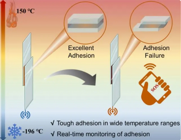 �ҿƌW���аl�����Ϳɽ����τ� ������3D��ӡ����