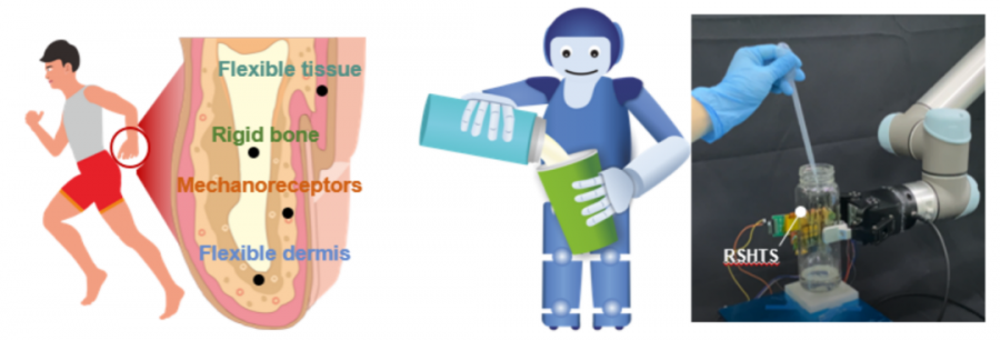 �B�T��W���o�C���˴����`��&ldquo;Ƥ�w&rdquo;��