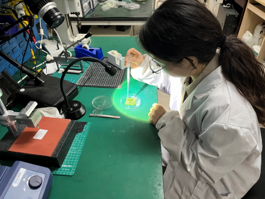 ������M�Є��Ტ�������|�X�������Ƃ䌍�