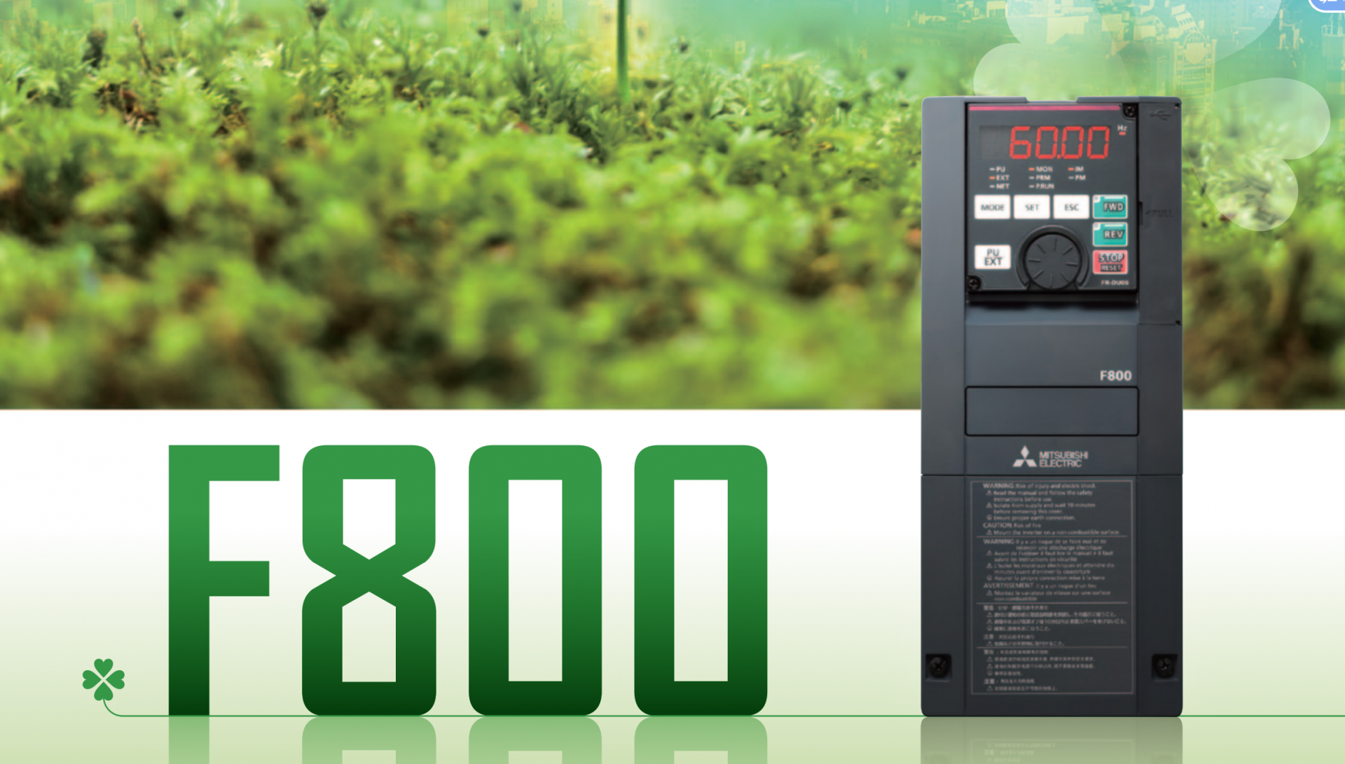 ����׃�l��