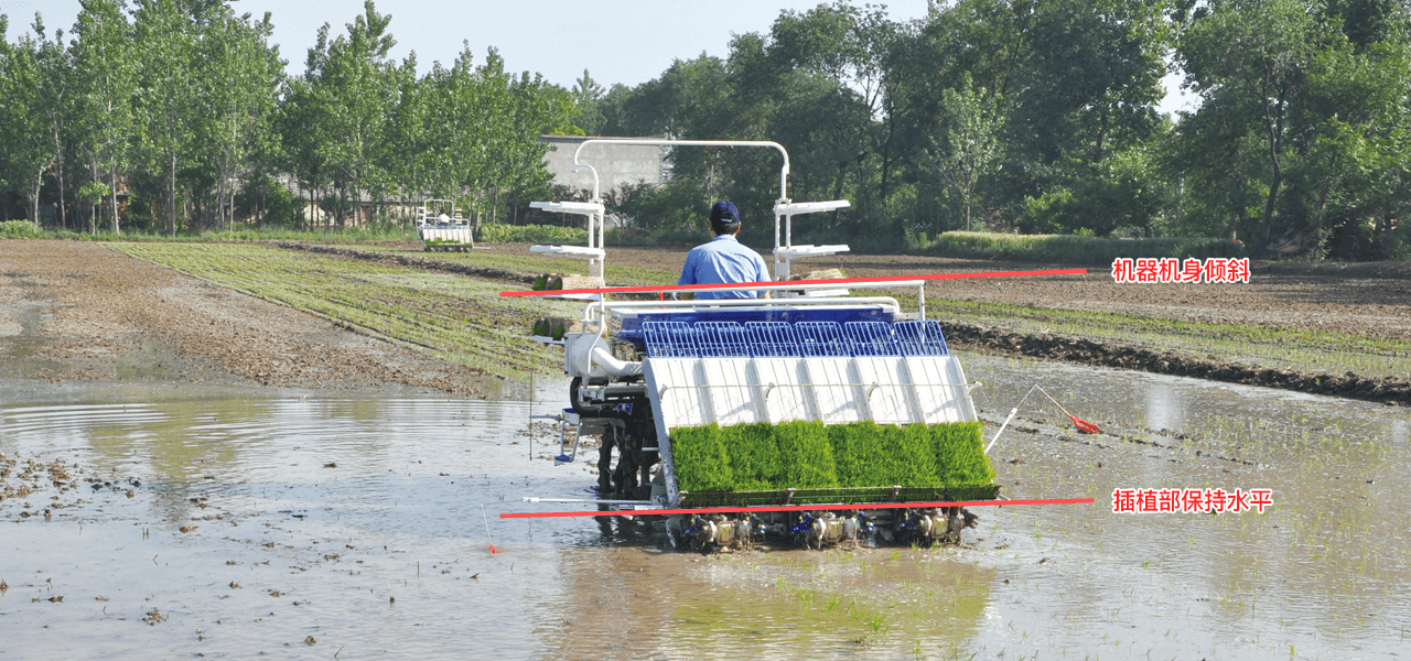 ���P����ʽ���ٲ���CPZ60-AHGR