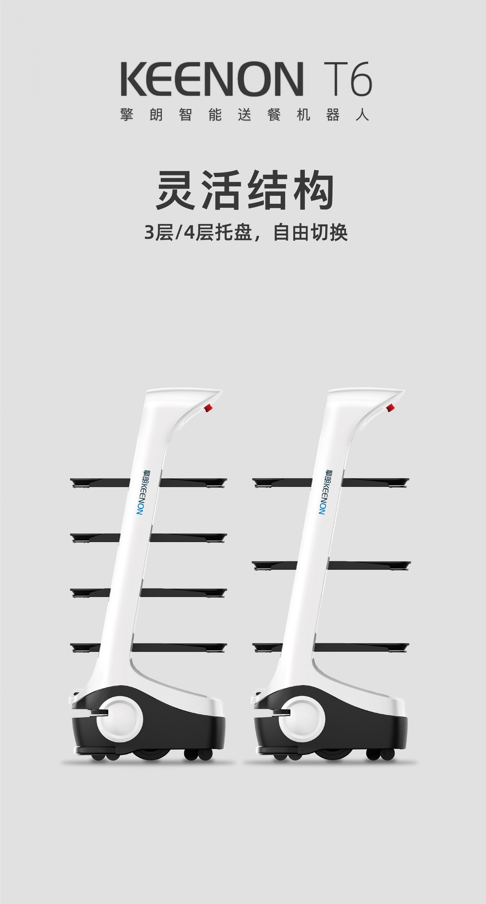 �����Ͳ͙C����T6