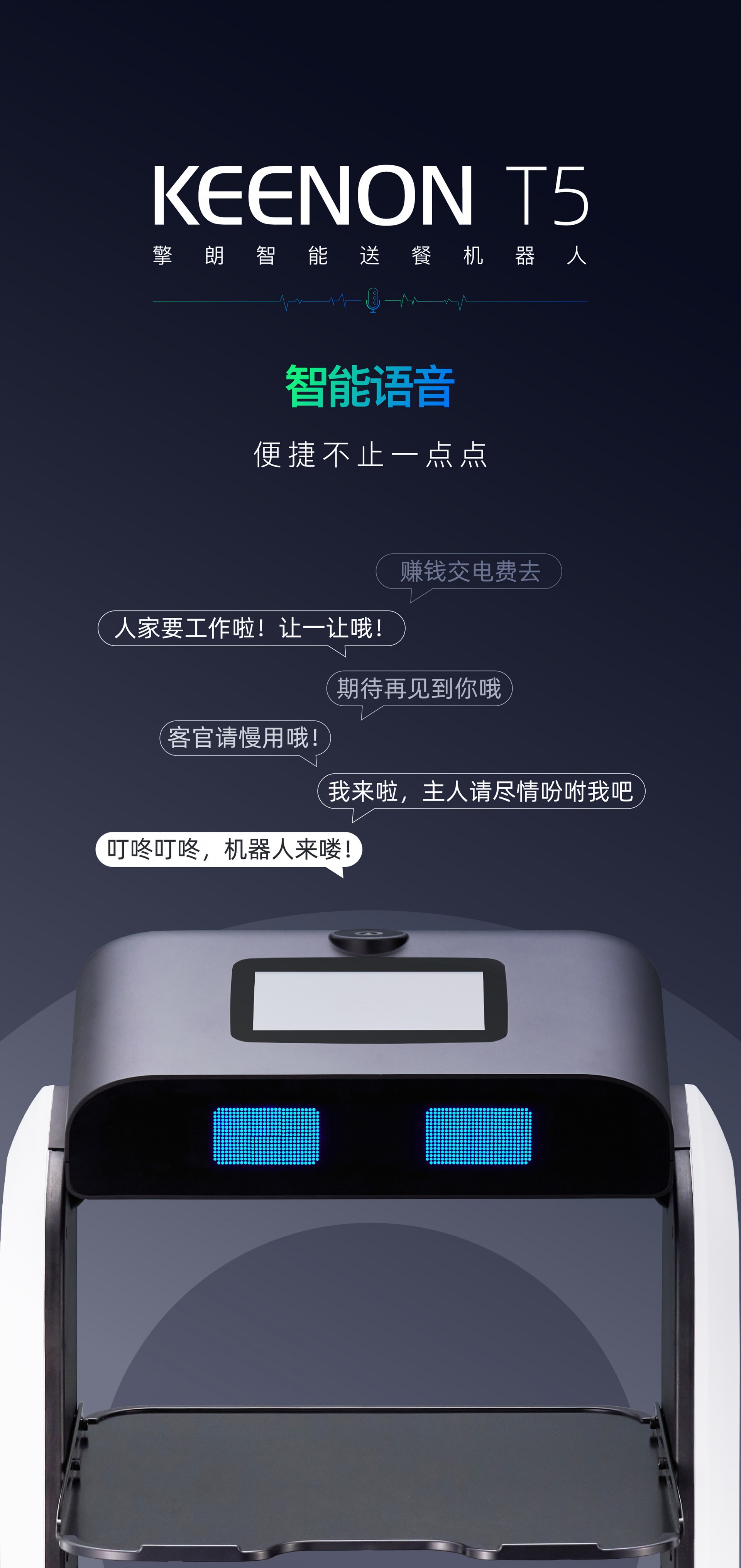 �����Ͳ͙C(j��)����T5