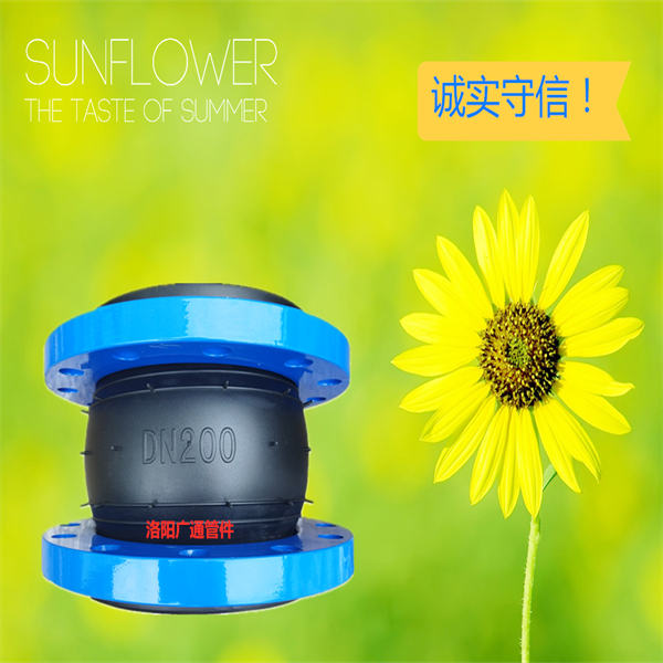 XGD1���������z���^