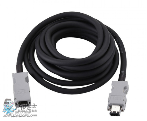 �����C�������