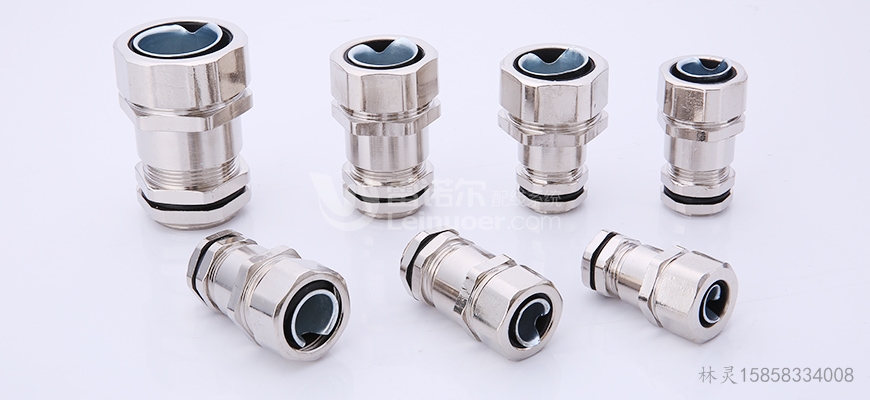 mbg1_����ܛ����|���^2