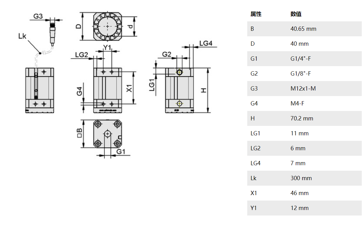 ʩ�~��������P