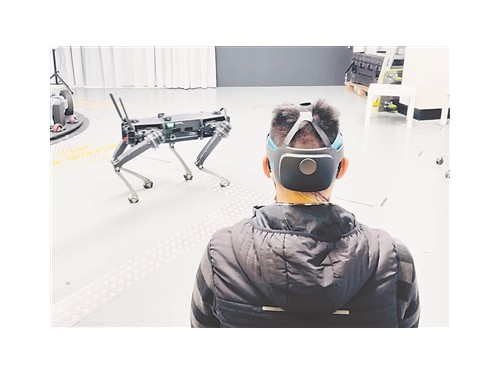 ʯīϩ������������������ơ��C����