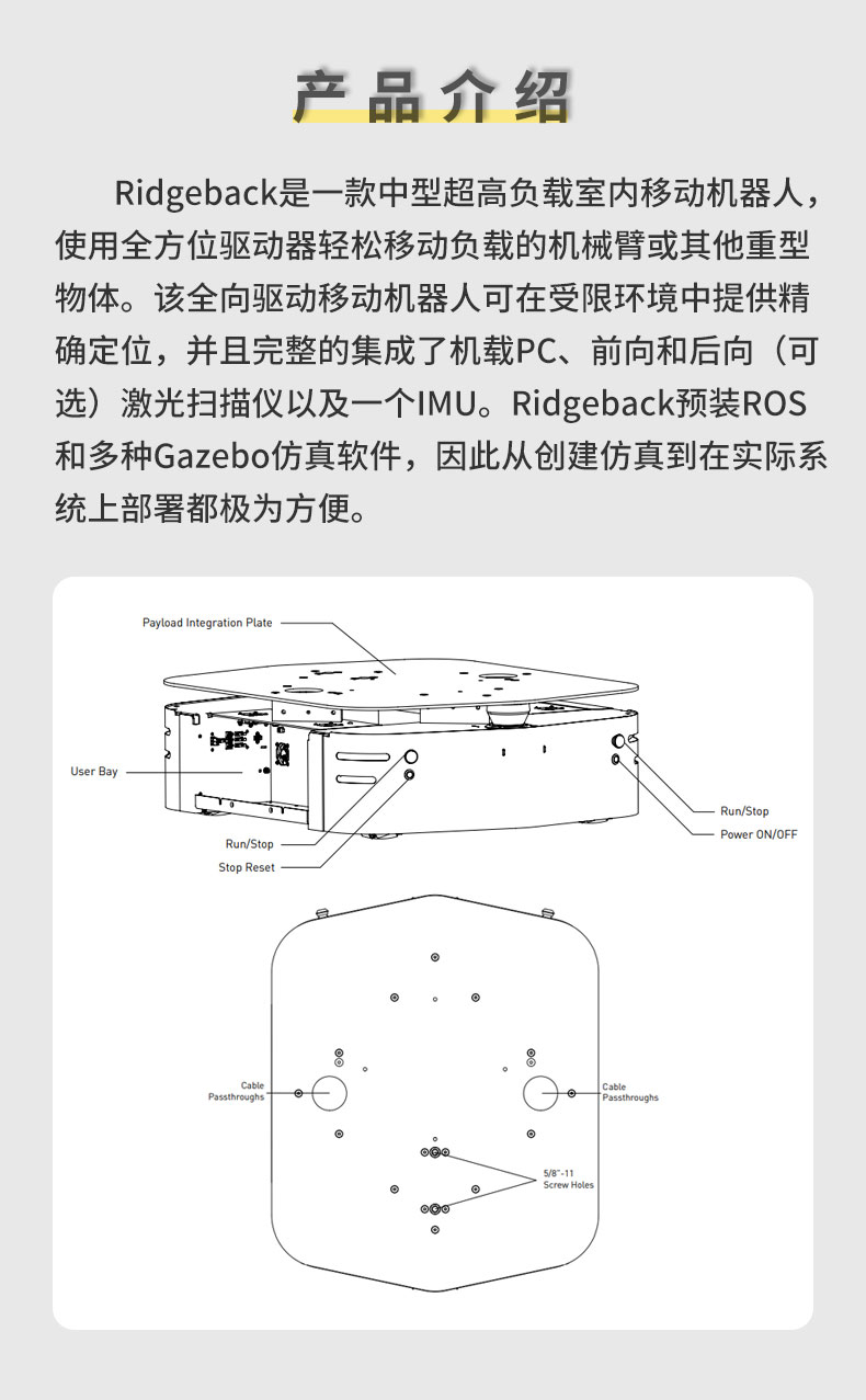 ridgebackԔ��_02