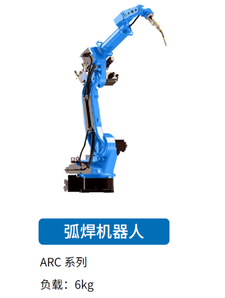 �����C����