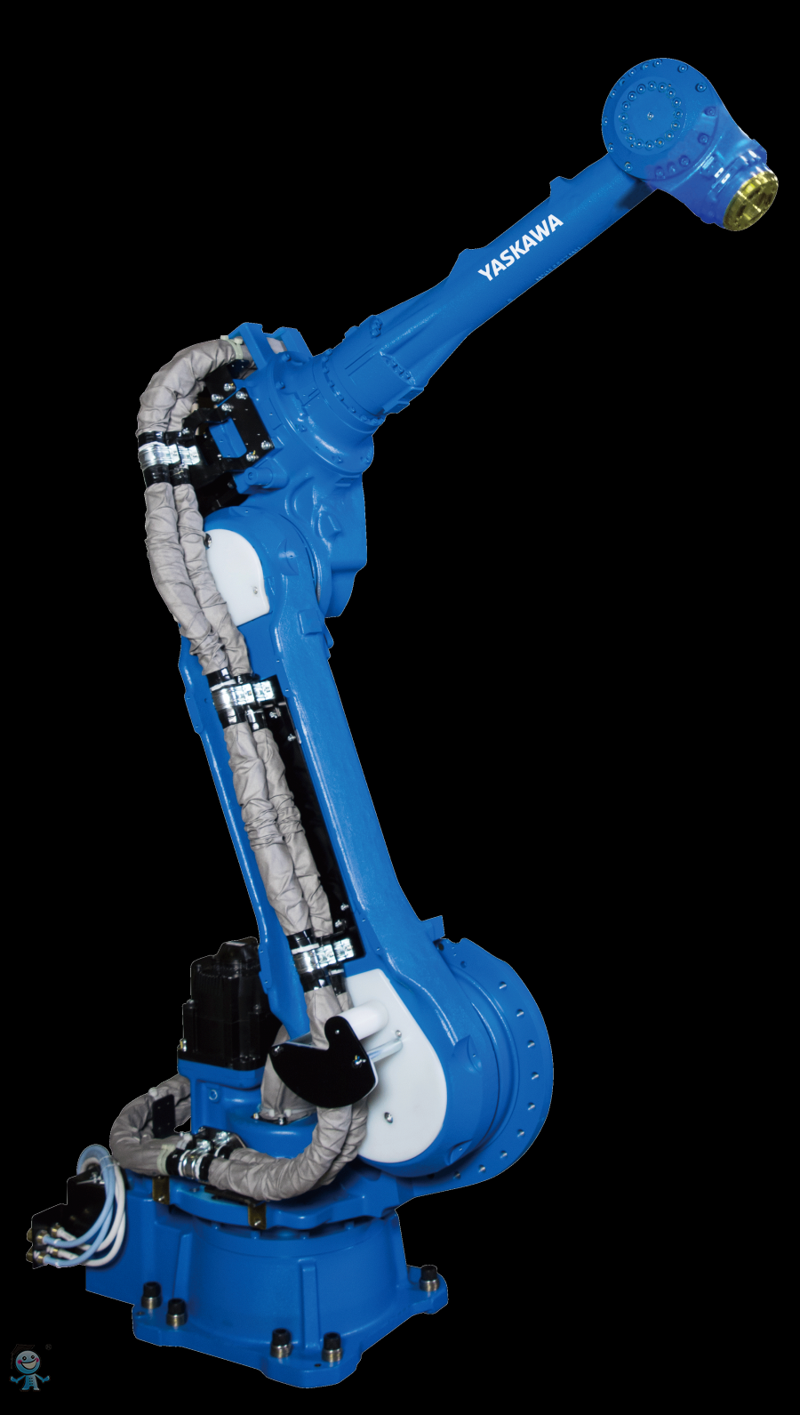 �����C����