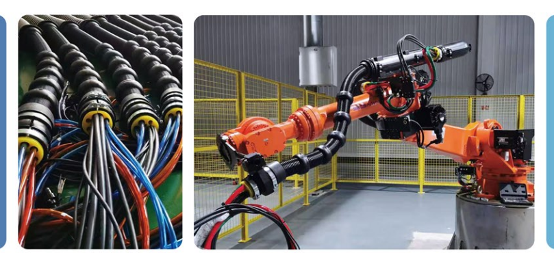 QQ�؈D20231123173320