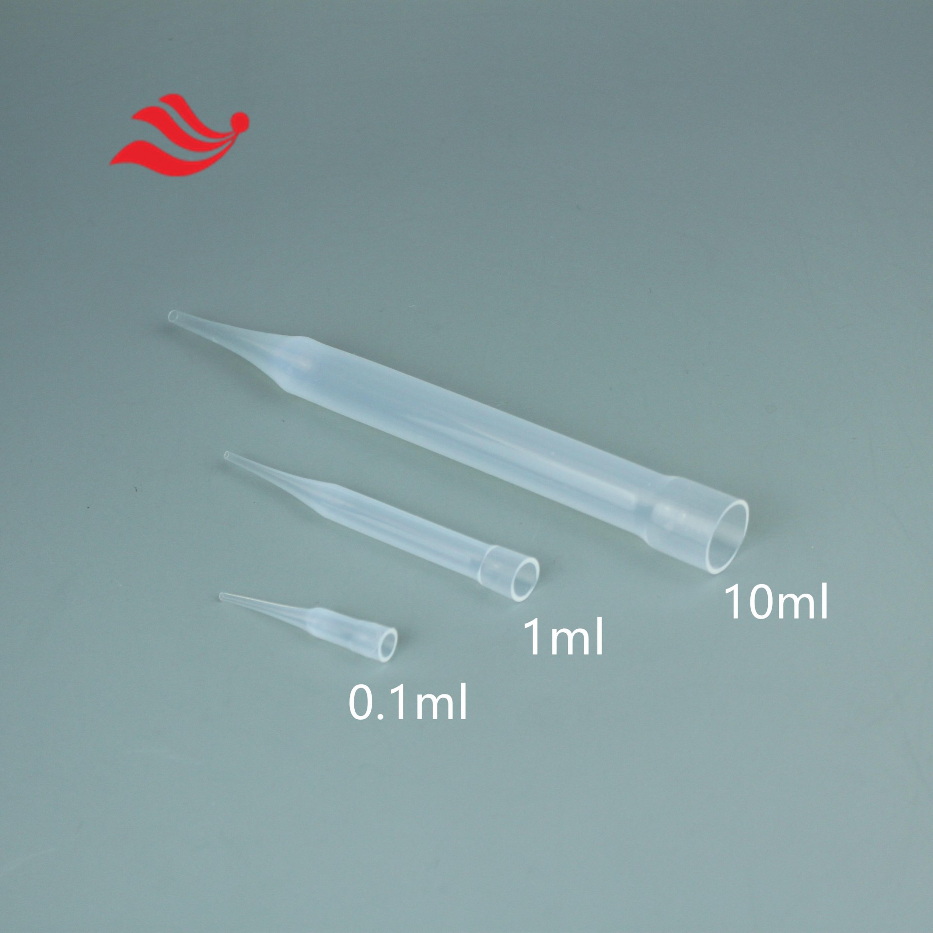 IMG_5265_����