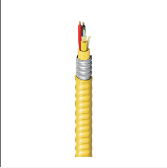 QQ�DƬ20231219143908