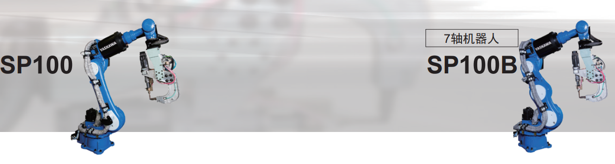 �����C����