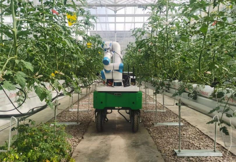 ���W�C�����r�I����  ȫ���ܲ�ժ�C���ˆ���