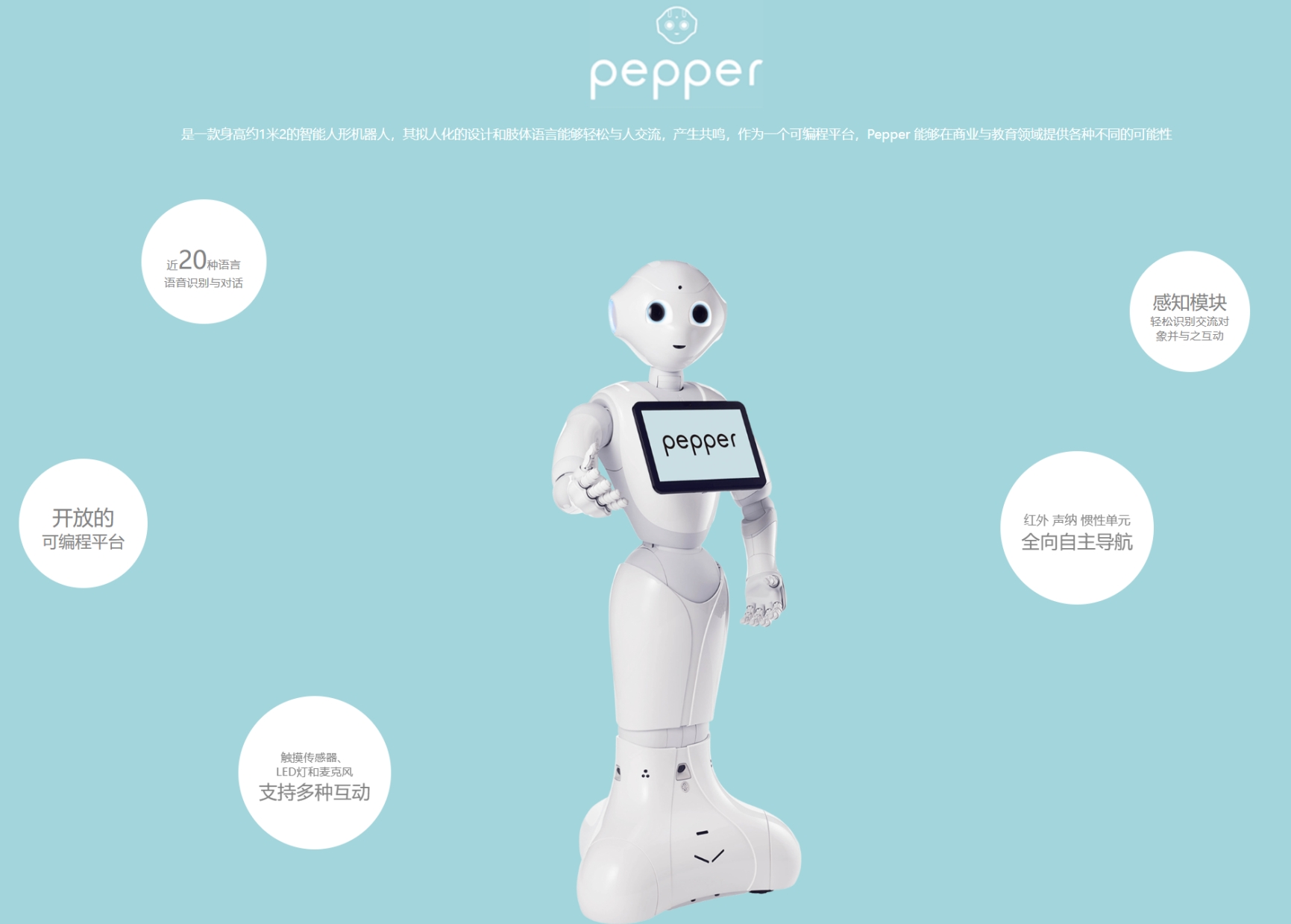 pepper�C����ͨ��2