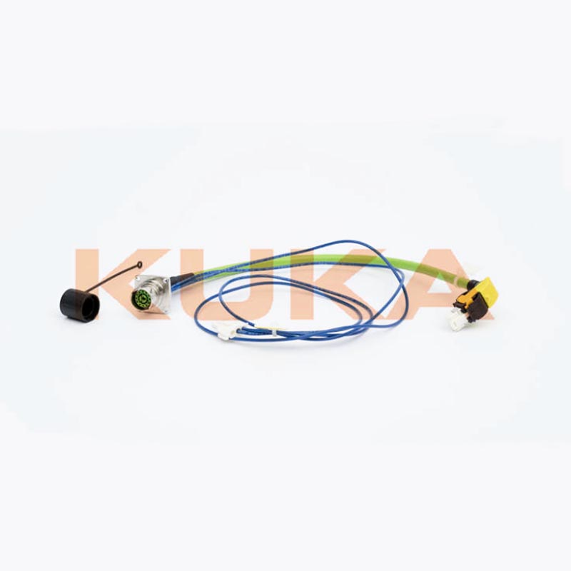 �쿨���I�C�������